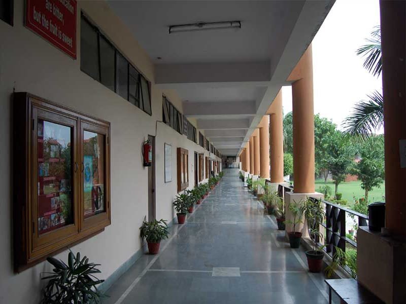 College Administration